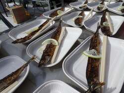 「神奈川県小田原市と横浜市で秋の味覚サンマ祭り開催！　3会場で6000尾振る舞い」の写真
