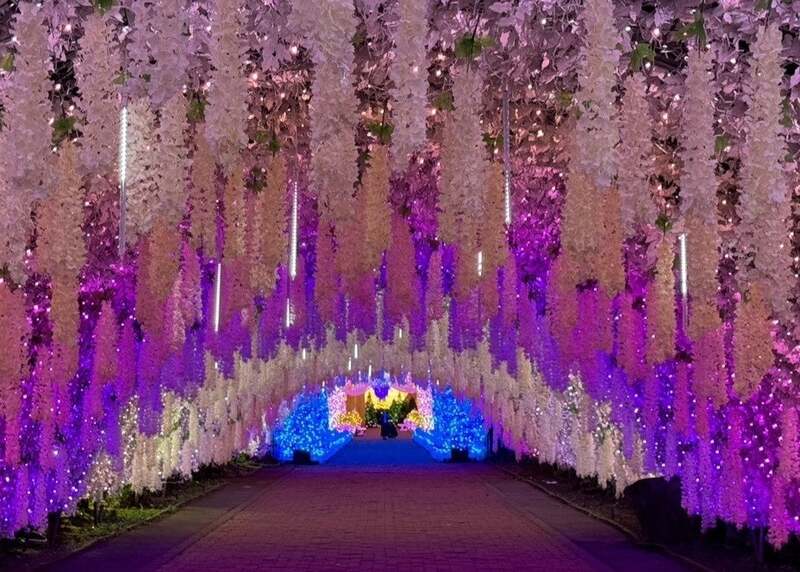 魅惑の洞窟