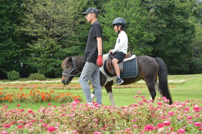 10/4.5　ポニーの乗馬体験