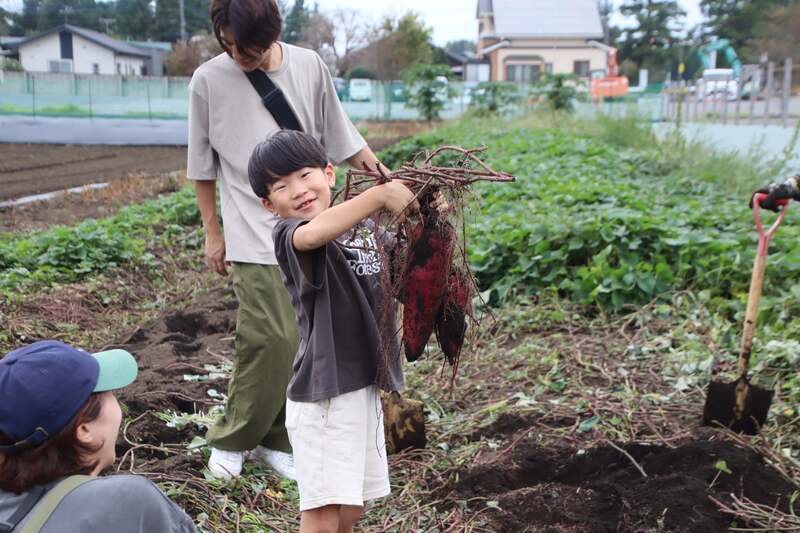いがしらふぁーむ収穫体験