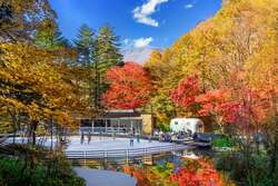 「長野県の軽井沢星野エリアで紅葉スケートリンクがオープン！夜のライトアップも新登場」の写真