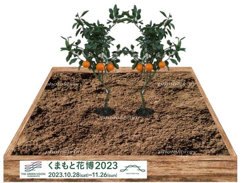 くまもと花博2023 みかん畑イメージ図