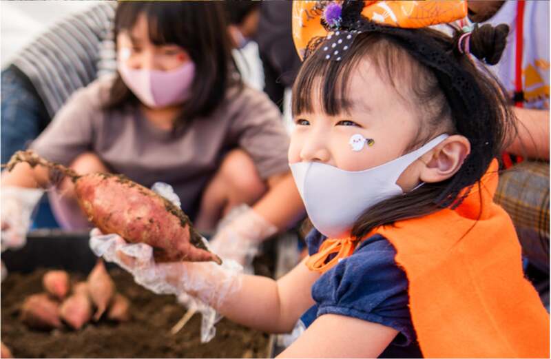 イベント内の畑で楽しく収穫する子供達