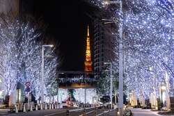 「六本木ヒルズで93万灯のけやき坂イルミネーション点灯！　クリスマスマーケットも開催」の写真