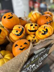 「八ヶ岳でハロウィンと食の祭典！特大かぼちゃのフォトスポット＆信州グルメが楽しめる」の写真