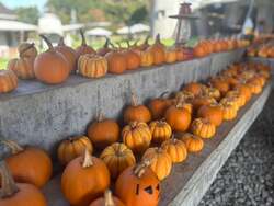 「八ヶ岳でハロウィンと食の祭典！特大かぼちゃのフォトスポット＆信州グルメが楽しめる」の写真