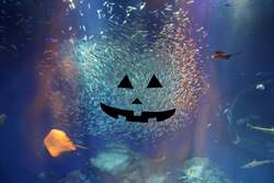 「【2025関東】親子向けハロウィンイベント17選　仮装OK＆お菓子配布＆参加無料も」の写真