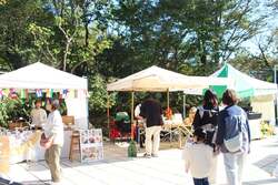 「秋の恵みをまるっと楽しむ特別な3日間　岐阜県恵那銀の森で「どんぐり祭」が開催！」の写真