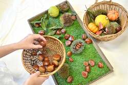 「秋の恵みをまるっと楽しむ特別な3日間　岐阜県恵那銀の森で「どんぐり祭」が開催！」の写真