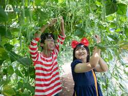 「コスプレして野菜収穫とジップラインに挑戦！　千葉THE FARMでハロウィン運動会開催」の写真
