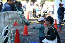 「代々木公園で「ふるさと渋谷フェスティバル2025」開催　動物ふれあいなど参加無料！」の写真