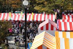 「代々木公園で「ふるさと渋谷フェスティバル2025」開催　動物ふれあいなど参加無料！」の写真
