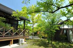 「50店舗以上出店！香川県の讃岐まんのう公園で家族で楽しむアウトドア体験イベント開催」の写真