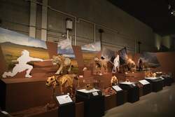 「4万年前の巨大動物とネアンデルタール人に会える　上野で開催中の氷河期展が夜間開館」の写真