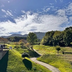 「【奈良】10月11日～13日の三連休おでかけにもおすすめ！人気スポットランキング」の写真