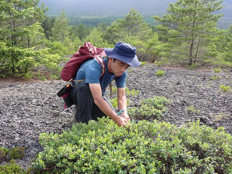 高橋　一秋（たかはしかずあき）先生　長野大学環境ツーリズム学部 環境ツーリズム学科 教授