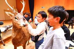 「長野県小諸市で「浅間山こども大学」が開催　研究者の授業を無料で体験できるチャンス」の写真