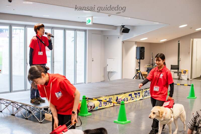 盲導犬デモンストレーションイメージ