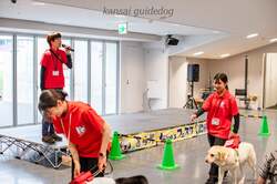 盲導犬デモンストレーションイメージ
