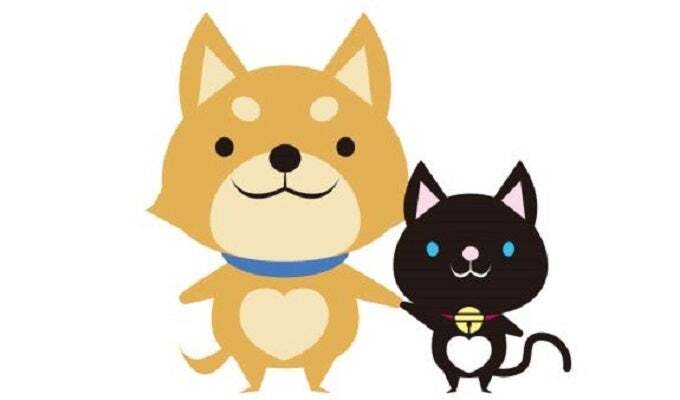 保護動物のパネル展示イメージ