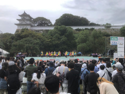 明石城まつり2025（（公財）兵庫県園芸・公園協会）