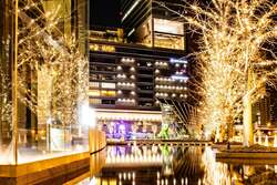 「大阪うめきたエリアで過去最多48万球が輝く！シャンパンゴールドイルミネーション開催」の写真