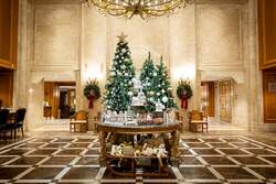 「横浜のクラシックホテルに1.5万球のイルミ　光の庭園＆クリスマスデコレーション登場」の写真