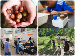 自然に親しむイベントデー「どんぐりの日」