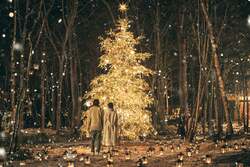 教会前の6mのクリスマスツリーを見上げて