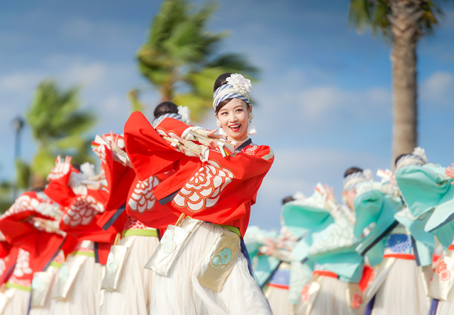 第21回ゑぇじゃないか祭り｜一般社団法人にぎわい夢創りプロジェクト
