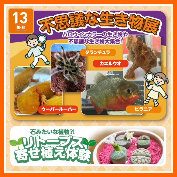 不思議な生き物展