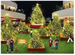 「横浜ベイクォーターで幻想的なクリスマスイルミネーション開催」の写真