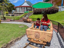 「【別府周辺】10月18日・19日の今週末のおでかけにもおすすめ！人気スポットランキング」の写真