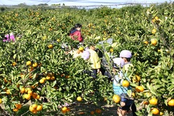 「【館山周辺】10月18日・19日の今週末のおでかけにもおすすめ！人気スポットランキング」の写真