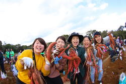 「【土浦周辺】10月18日・19日の今週末のおでかけにもおすすめ！人気スポットランキング」の写真