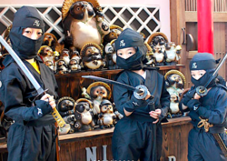 「【浅草周辺】10月18日・19日の今週末のおでかけにもおすすめ！人気スポットランキング」の写真