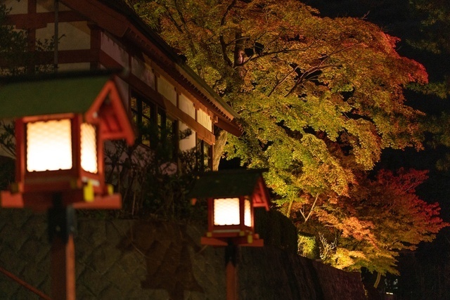 遠野郷八幡宮 紅葉ライトアップ／遠野郷八幡宮
