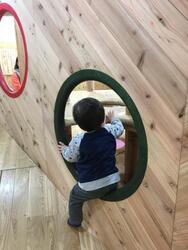 「【横須賀周辺】10月18日・19日の今週末おでかけにもおすすめ！人気スポットランキング」の写真