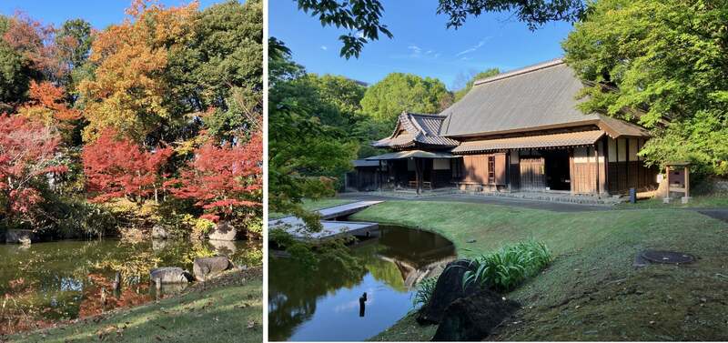 紅葉が美しい旧富澤家住宅