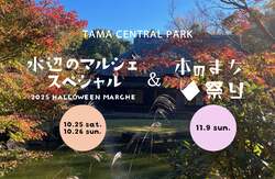 「多摩中央公園でハロウィンと本のまち祭り開催」の写真