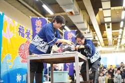 マグロの解体ショー