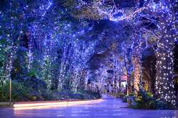 「東京スカイツリータウンでクリスマスイベント　ライティングが初リニューアル」の写真