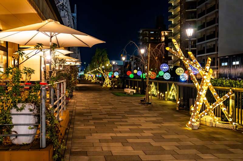 北十間川河川テラス（昨年の様子）