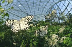 群馬県立ぐんま昆虫の森