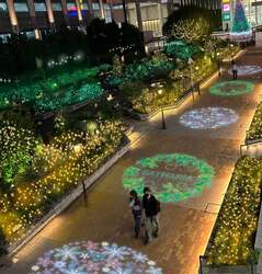 「江東区の「深川ギャザリア」でイルミネーション開催」の写真