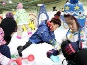 雪上宝さがし