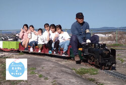 「愛犬と仮装を楽しめるハロウィンイベント、神戸メリケンパークで開催」の写真