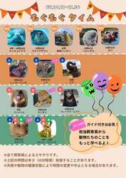 「ライオンの赤ちゃんに会える！のんほいパークで秋祭り　あいちウィークは入園無料！」の写真