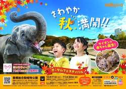 「ライオンの赤ちゃんに会える！のんほいパークで秋祭り　あいちウィークは入園無料！」の写真