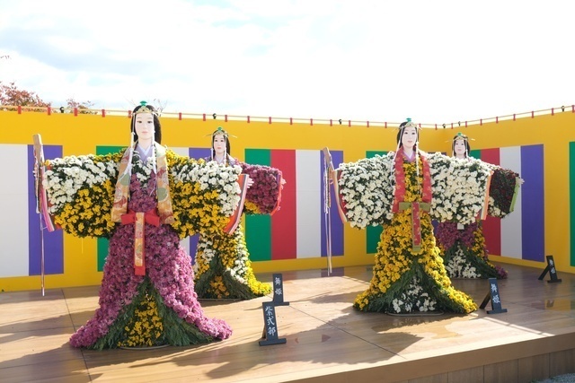 第113回南陽の菊まつり／R5　花公園会場　菊人形